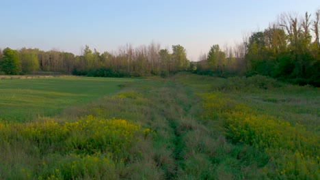 drone aerial of field in the back of the joseph smith family farm, near the frame house, temple, visitors center, and the sacred grove in palmyra new york for the mormons and the book of mormon