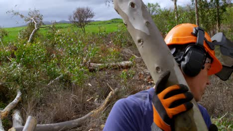 leñadores llevando troncos de árboles en el bosque 4k