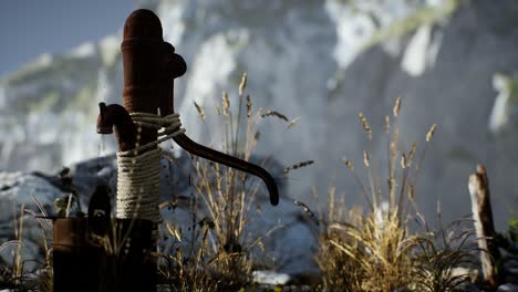 retro rust hand water pump