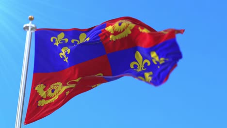 flag of department of landes in nouvelle-aquitaine, france. loop