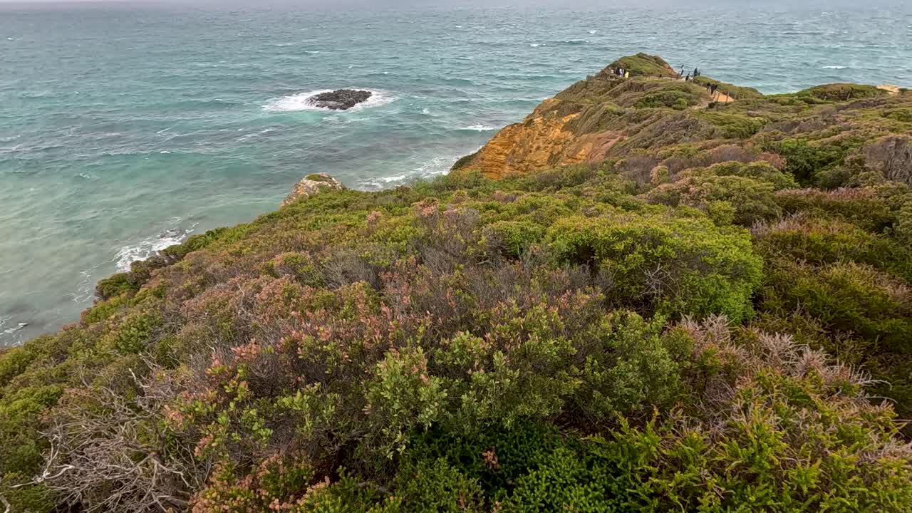 Drone camera glides above dense coastal shrubbery toward rugged cliffs and turquoise ocean, under soft daylight with steady, smooth movement and natural colors
