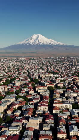 aerial view of city with snow-capped mountain