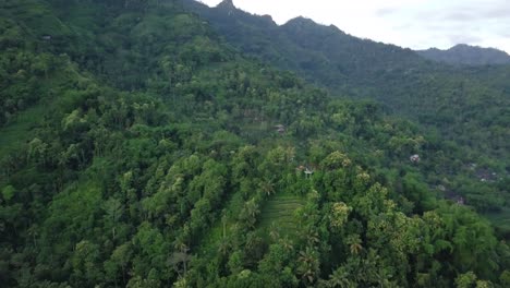 在印尼的梅諾雷山 (menoreh hill) 的茂密森林樹林上空的空中飛行