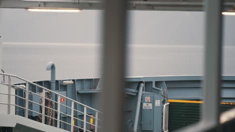 View-from-the-upper-deck-of-the-passenger-ferry-crossing-the-Hardanger-fjord