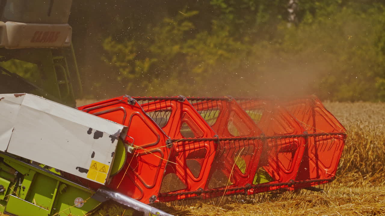 Harvester working in the field. Harvester machine to harvest wheat field