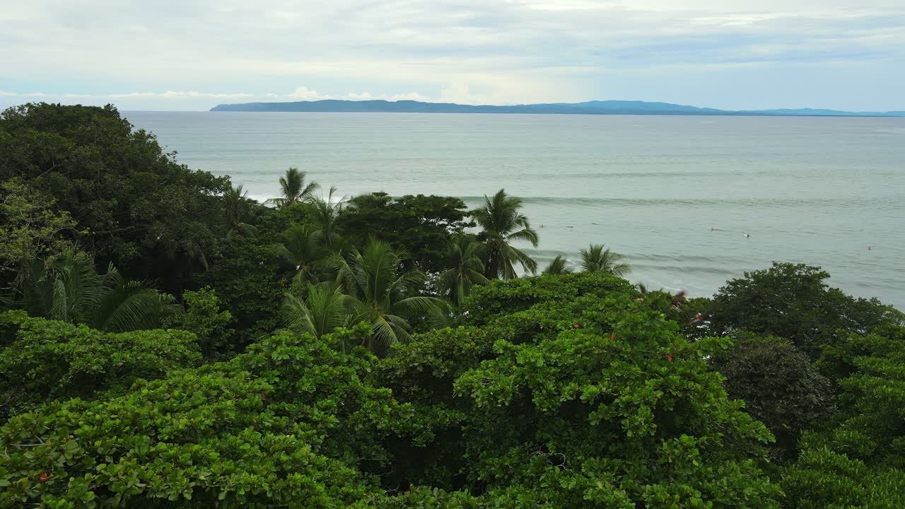 la armonía de la naturaleza capturada: playa, selva y pájaros volando libres.