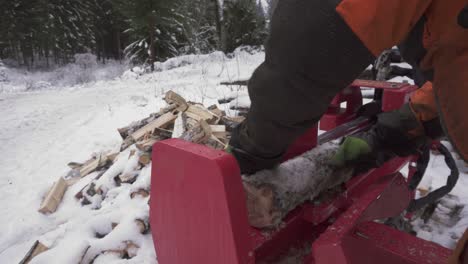 man uses wood splitter to cut logs for firewood in winter