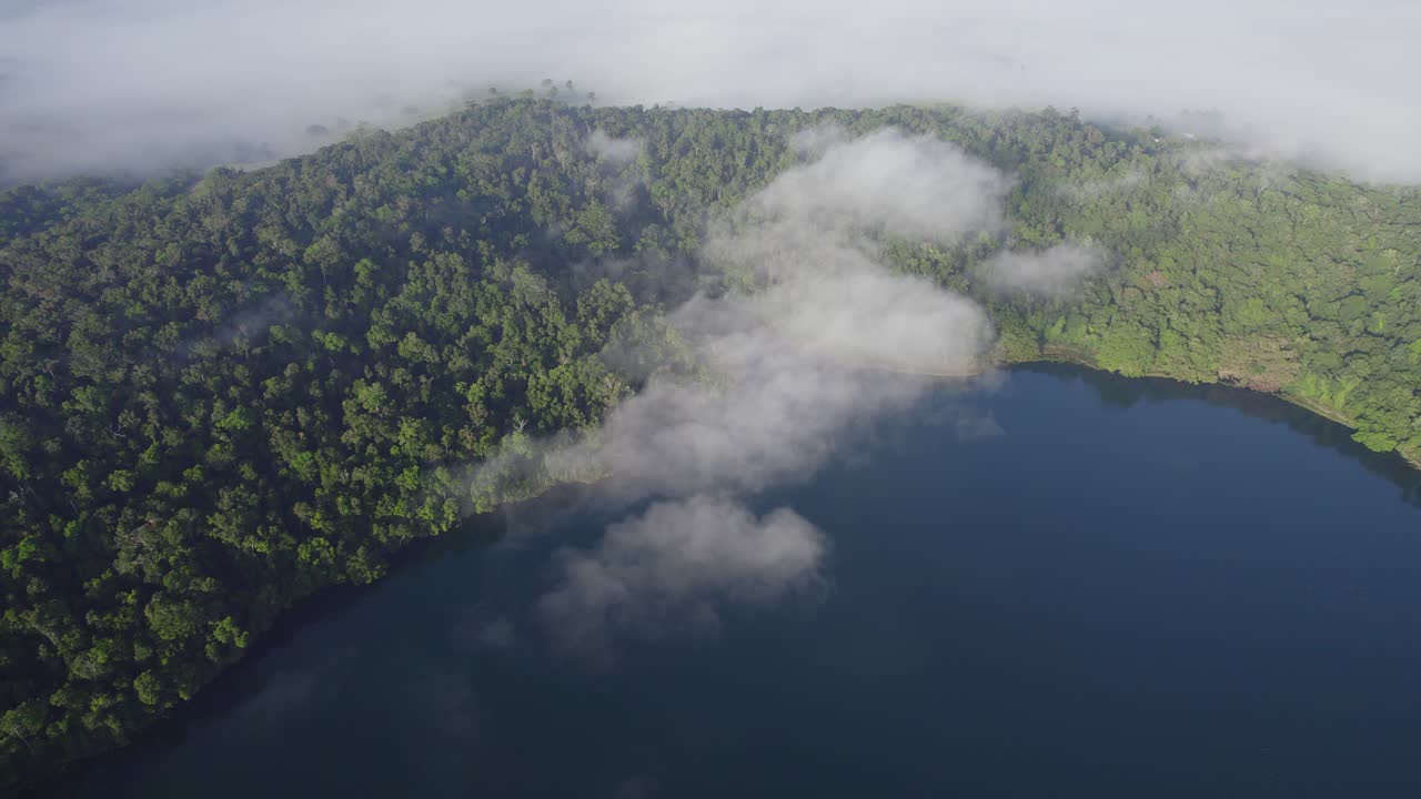 Lake Barrine - Freshwater Lake In Atherton Tableland, Far North Queensland, Australia - aerial drone shot
