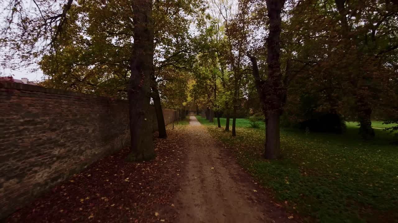 sentiero rettilineo che conduce a un vicolo attraverso il parco autunnale