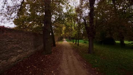 straight path leading an alley through the autumn park