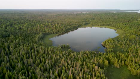 Aerial-view-of-small-lake-surrounded-by-forest,-Michigan