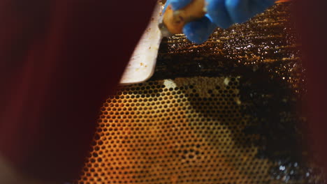 the beekeeper removes wax with a spatula