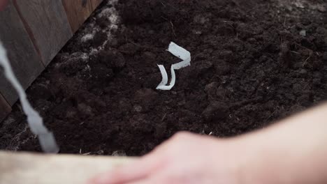 cropped view of a man placing white thread marks on cultivated soil