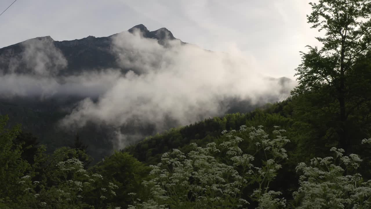A tracking shot in the Pyrenees in France with large mountains, a forest and clouds in the background