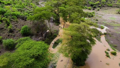 überschwemmungen in kenia 2023- katastrophe der überschwemmungen