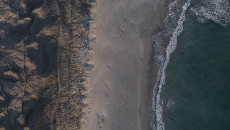 sandy wild beach with foamy ocean waves hitting coast, aerial top down shot