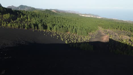 Filmische-Drohnenaufnahme-Eines-Grünen-Waldes-Auf-Einem-Berg-In-Teneriffa,-Spanien,-Beruhigend