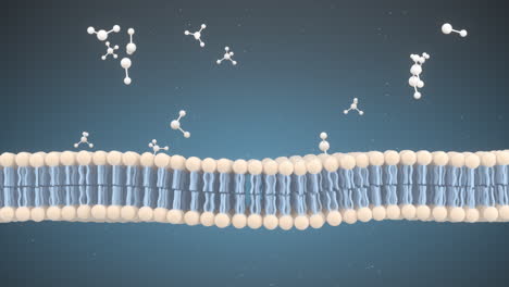 membrana celular y moléculas, renderización en 3d.