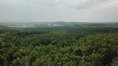 vista aérea de un bosque y un pueblo