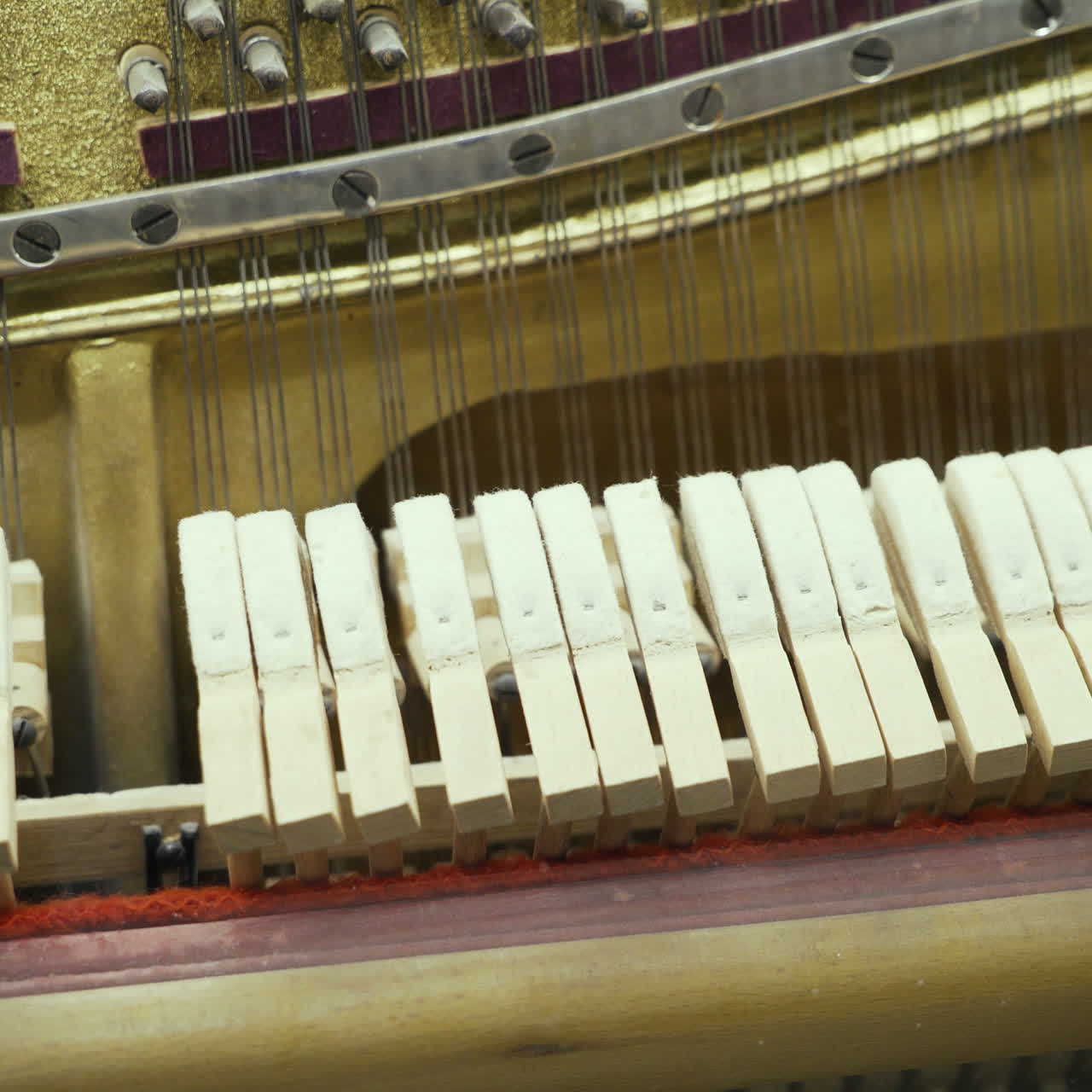Piano. Principles of the work of musical instruments.