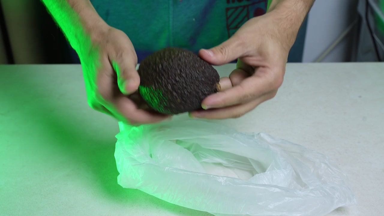 Un primo piano di mani maschili che tengono un avocado scuro intero sopra una busta della spesa di plastica bianca su un luminoso bancone della cucina. L'ambiente dello studio interno presenta una distinta luce al neon verde che proietta ombre.
