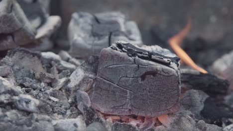 burning charcoal