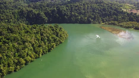 engine echoes along the water as jet ski seamlessly cuts through the river