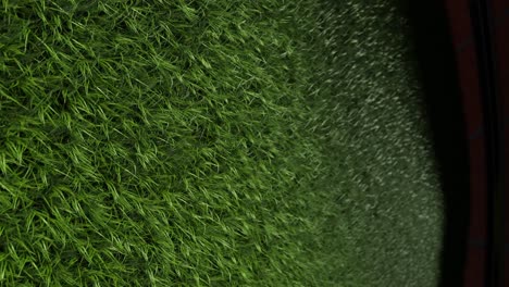 Green-grass-of-football-stadium-closuep-tilt-up,-vertical-3d-render-illustration