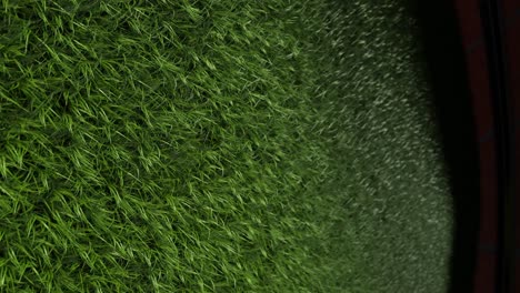 green grass of football stadium closuep tilt up, vertical 3d render illustration