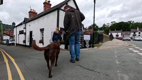 a man walks his dog down a street