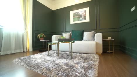 elegance sofa with wool carpet in green wall