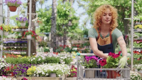 woman shopping for flowers at a garden center