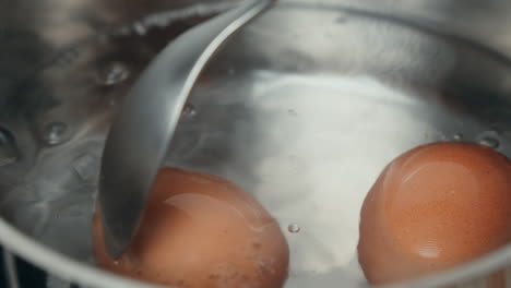hervir huevos en una olla de agua en una estufa