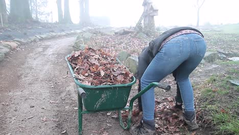 recogiendo hojas en otoño en el jardín con la gente imágenes de stock video de stock