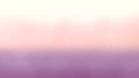 Vibrant-gradient-blurred-purple-and-pink-shades