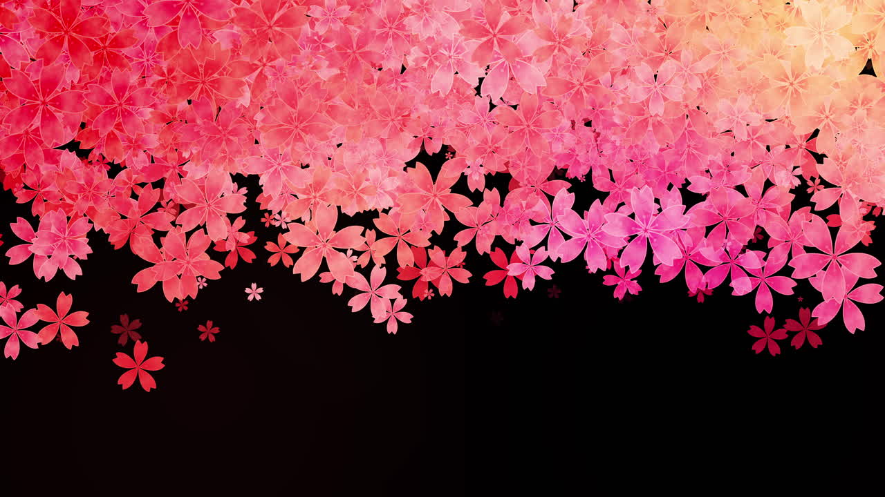 Floral pattern of falling and rotating pink flowers on a black background. Looped spring animation.