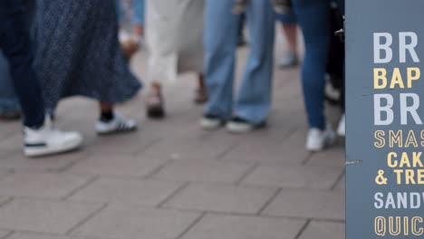 crowd walking, stroller with leaves visible