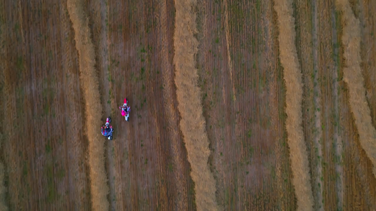 Motorbikes racing in the vast agricultural field. Young happy people ride motorcycles in agricultural plantation. View from top.
