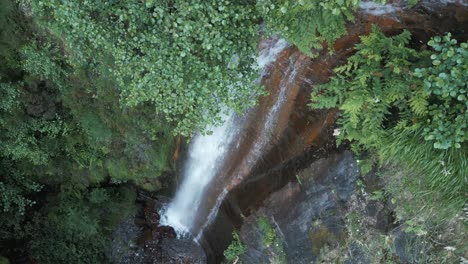 Fervenza-Do-Rexio-Wasserfälle-Eingebettet-In-Die-üppige-Vegetation-Von-Lugo,-Spanien