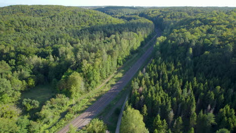 Vista-Aérea-De-Hermosos-árboles-Forestales-En-La-Colina-Y-La-Carretera-Entre-Bosques-A-La-Luz-Del-Sol