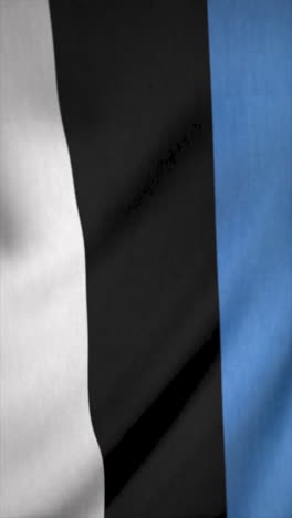 estonian flag