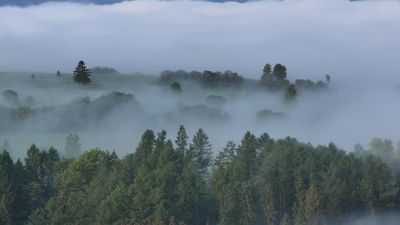 morning fog covering trees, fields, meadows and mountain valley in the morning with high, rocky montain range towering over blanket of cloud below