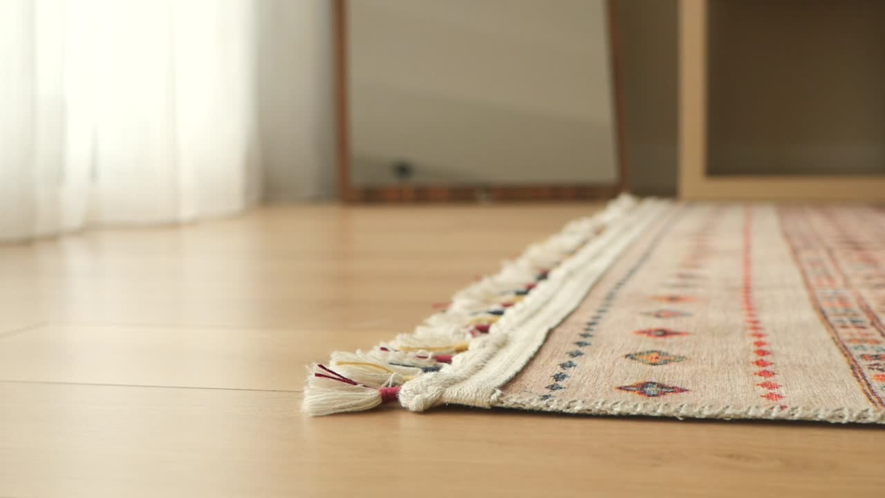 Interior scene featuring a rug on a wooden floor