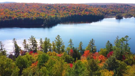 soaring like a bird over the vast colorful autumn forests surrounding a lake in montreal