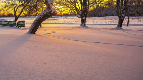 Zeitraffer-Der-Sonne,-Die-Durch-Schneebedeckte-Bäume-In-Lettland-Wandert,-Mit-Bienenkästen-In-Der-Ferne