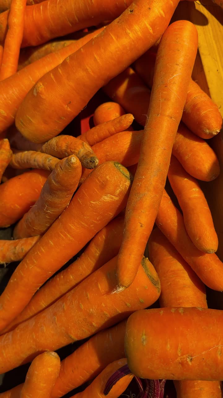 Close-up of Fresh Organic Carrots in a Pile
