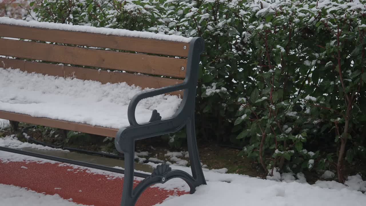 Park Bench Covered in Snow