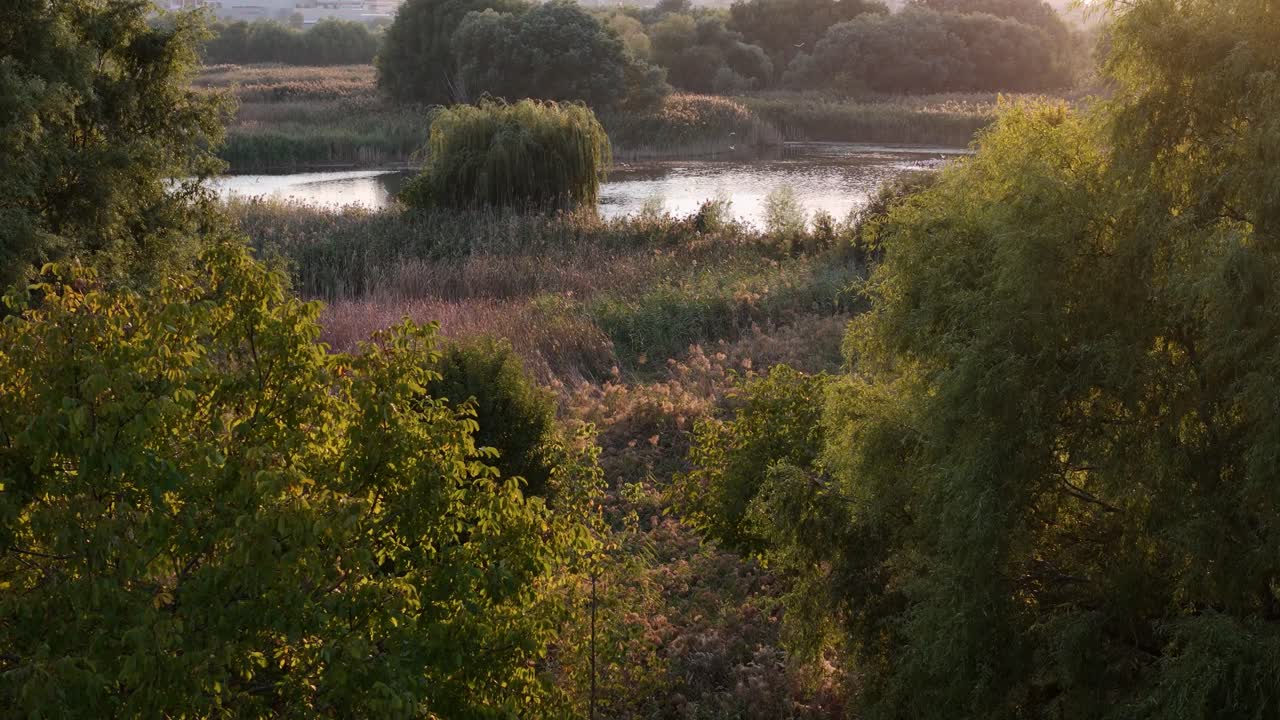 Top Down View Over Vacaresti Delta With Small Lakes And Different Species Of Birds, Golden Hour, Romania