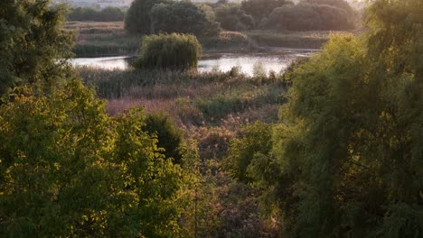 Vista-De-Arriba-Hacia-Abajo-Sobre-El-Delta-De-Vacaresti-Con-Pequeños-Lagos-Y-Diferentes-Especies-De-Aves,-Hora-Dorada,-Rumania