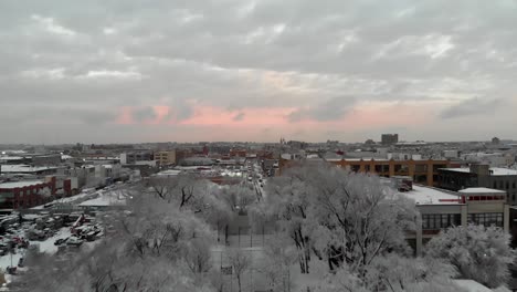 A-steady-moving-show-zooms-over-and-past-a-tree-in-the-foreground-opening-up-to-the-Brooklyn,-NY-skyline-during-a-pink-sunset-immediately-after-a-snow-storm